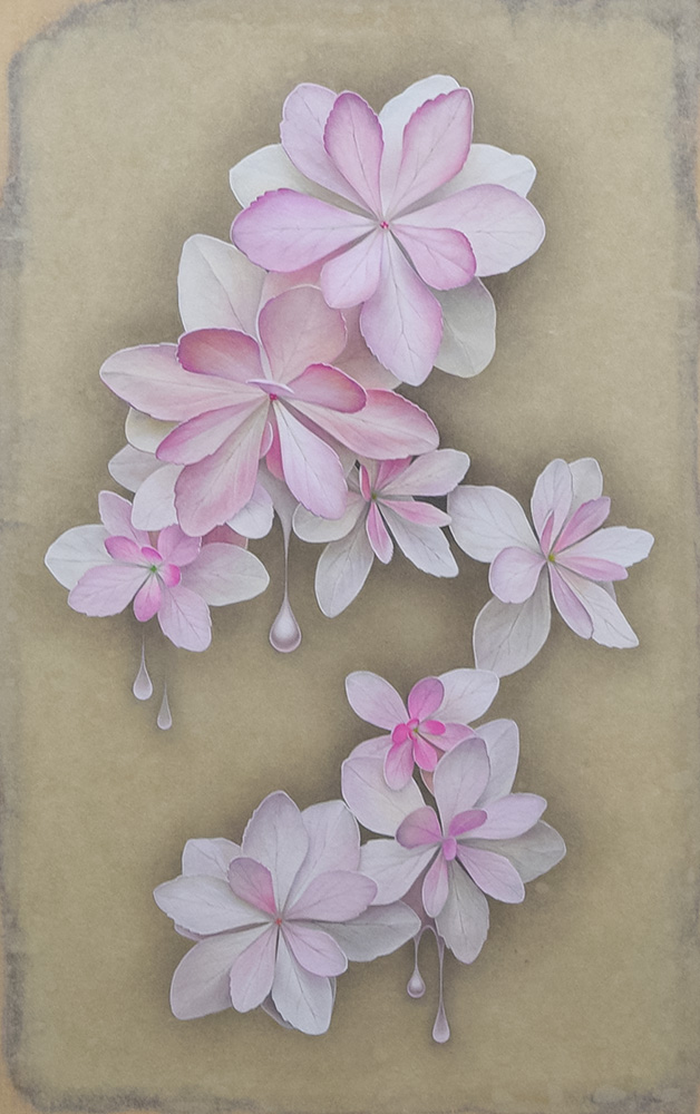 湯口絵美子
